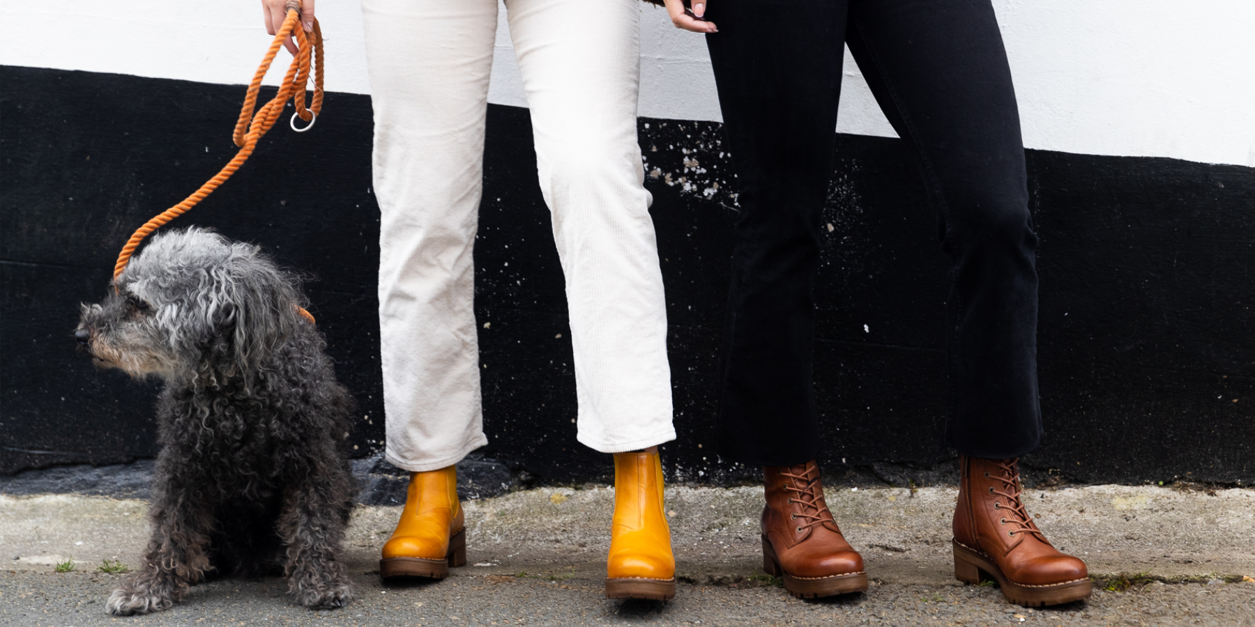 Boots for Autumn Winter 2021, Ten points Clarisse Chelsea boot mustard and Lace up cognac, out for a dog walk
