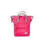 Roka Bantry B Small Vegan Bag in Sparkling Cosmo front view