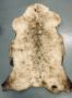 Sheepskin rugs, natural shorn english sheepskin rugs medium