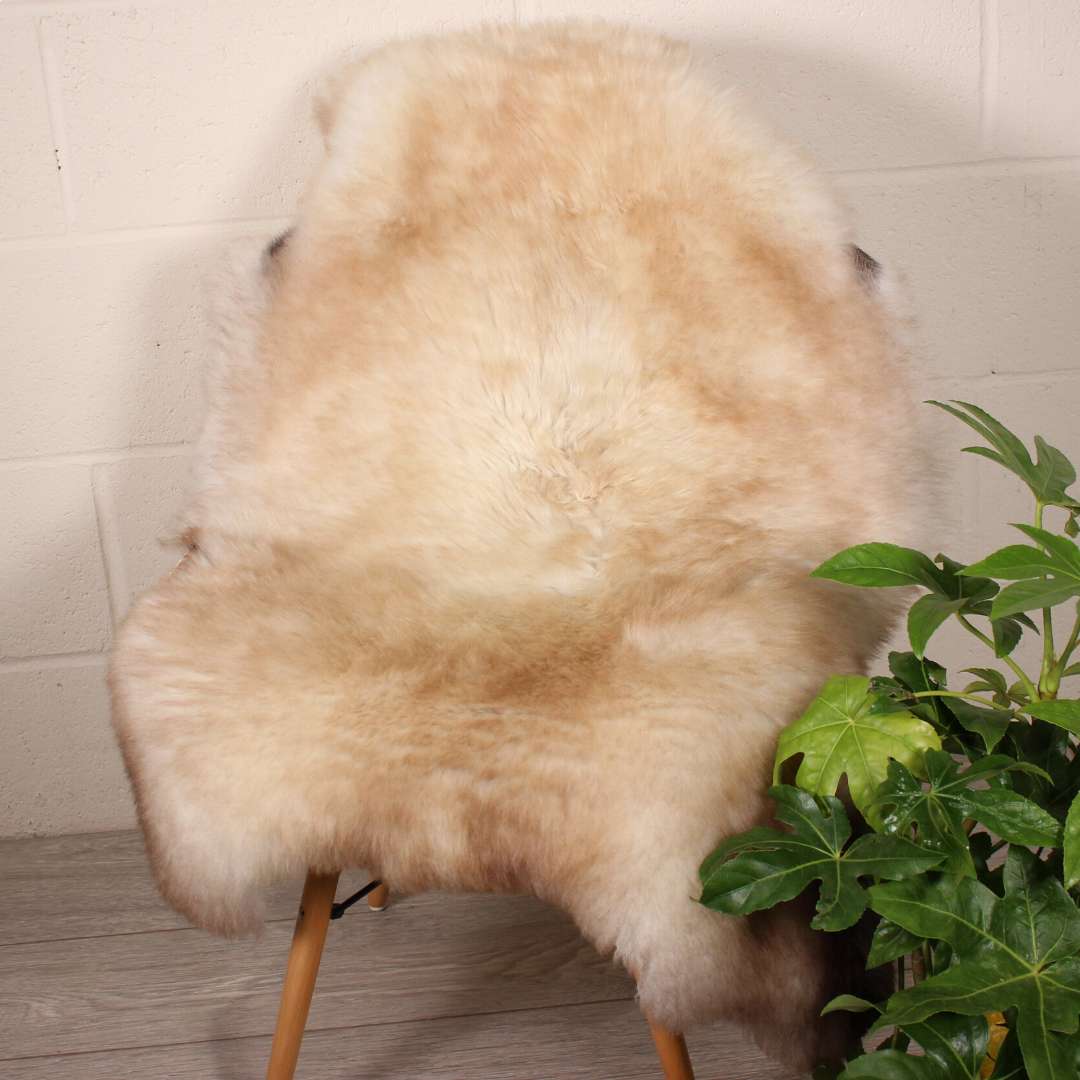 Natural Spotted Shorn English Sheepskin M