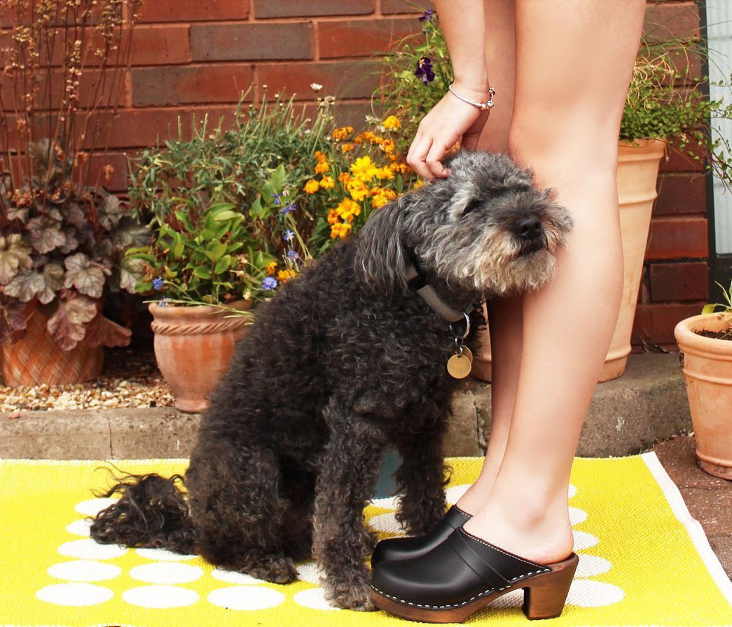 High Heel Classic Clog in Black with Brown Base with Strap